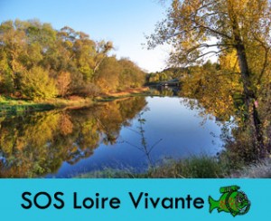 SOS-loire-vivante