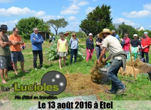 lucioles