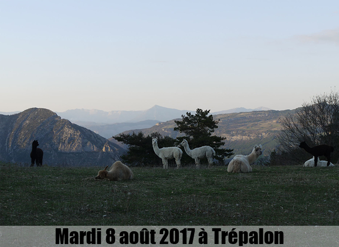 Etape de Francillon / roubill à Trépalon 