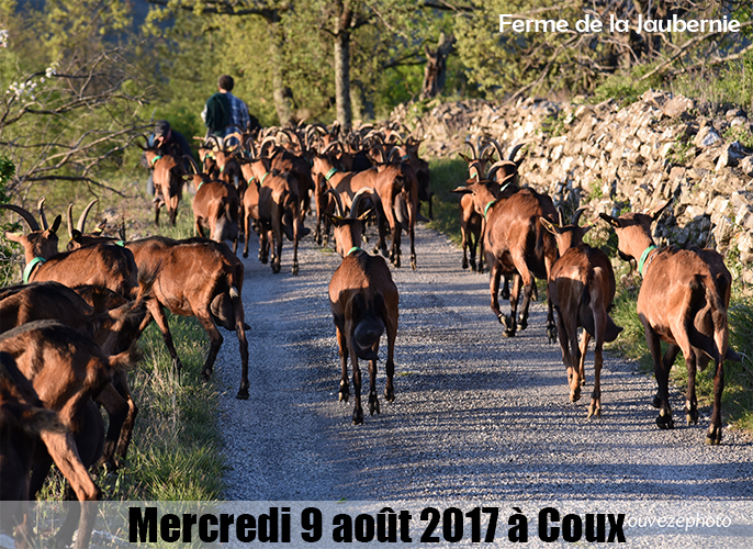 Etape de Saint Pierreville à Coux 