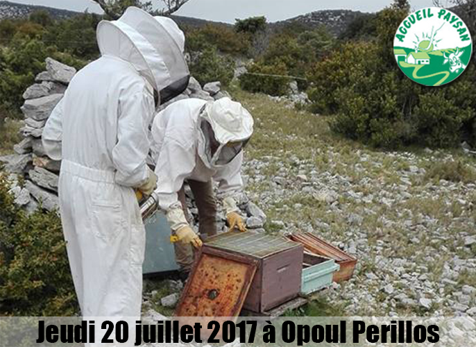 Etape de Thuir à Opoul Perillos 