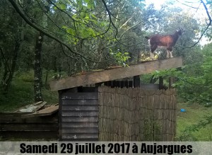 Le Kayou d'Aujargue