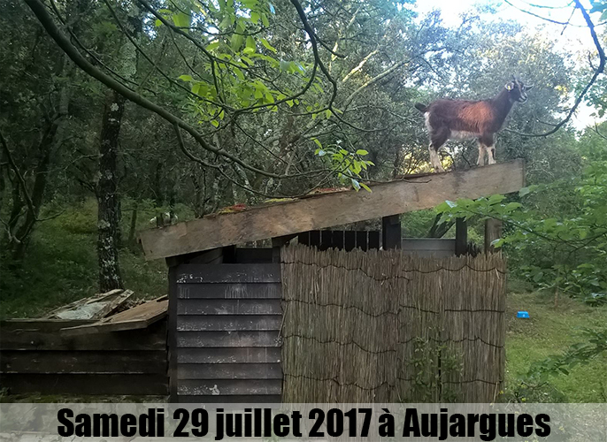 Etape de Vauvert à Aujargues 