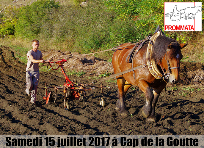 Etape de Montbrun Bocage à Saint-Victor-Rouzaud 