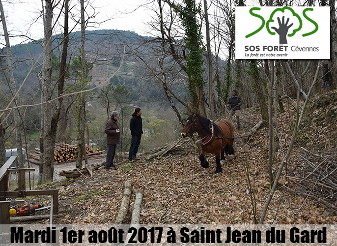 Etape de Thoiras à St Jean du Gard 