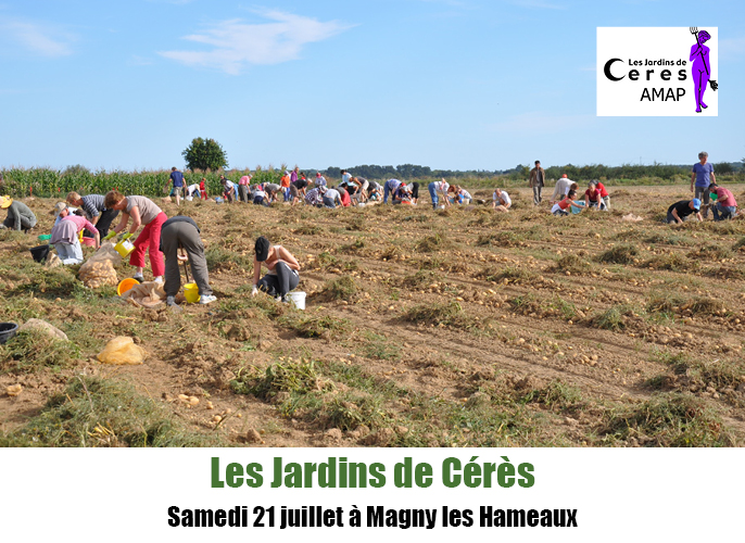 Etape de Chaussy à Magny les Hameaux 