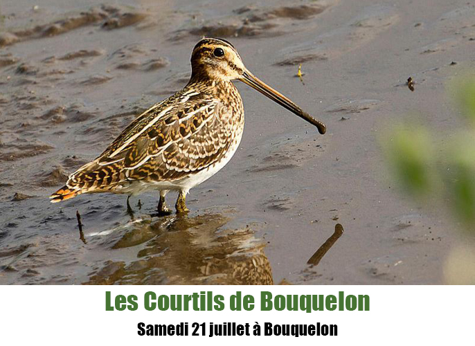 Etape de Bouquelon à  