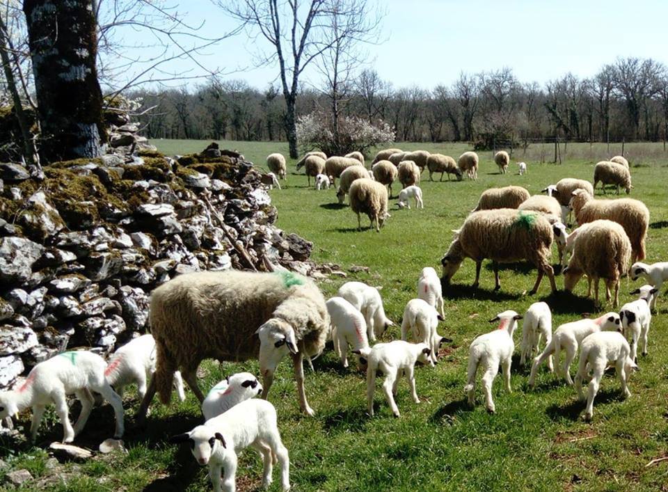 Etape de Carayac à Concots 