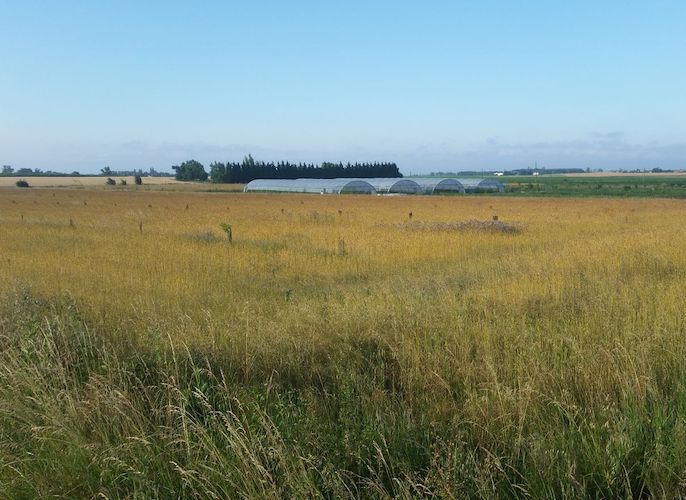 Etape de Bourret à Bourret 