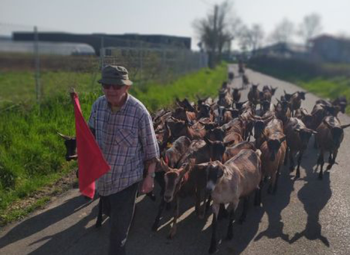 Etape de Lyon à Gleizé 