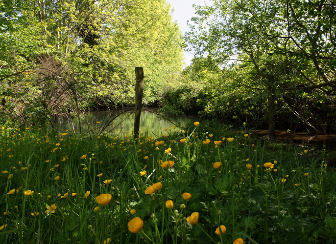 Etape de Saint-Georges-sur-Erve à  