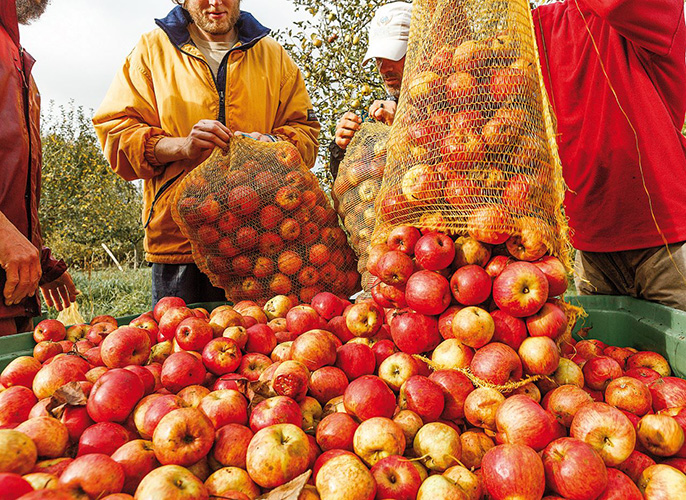 Etape de Arradon à  