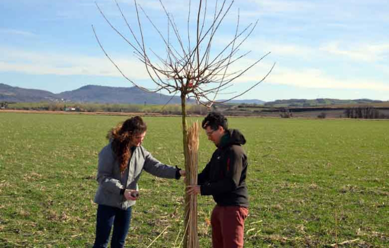 Etape de Viscomtat à Cournon 