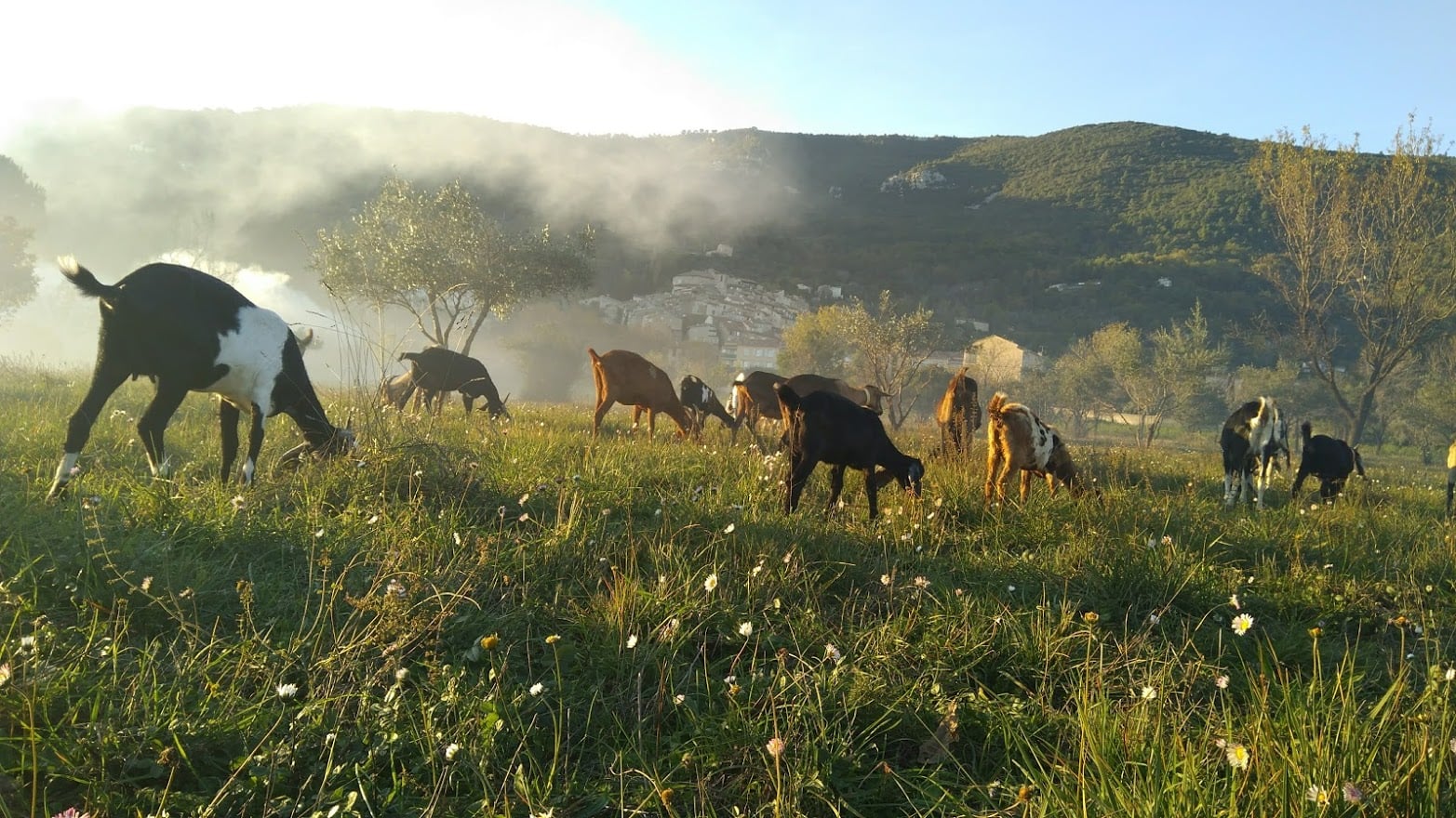 Etape de Grasse à Seillans 