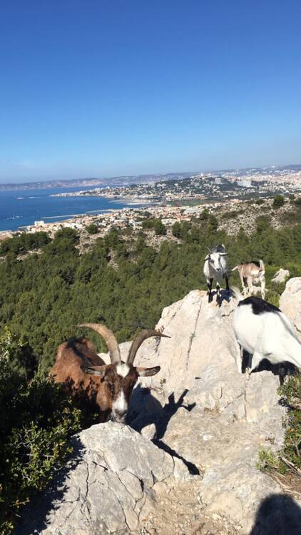 Etape de Aubagne à Marseille 